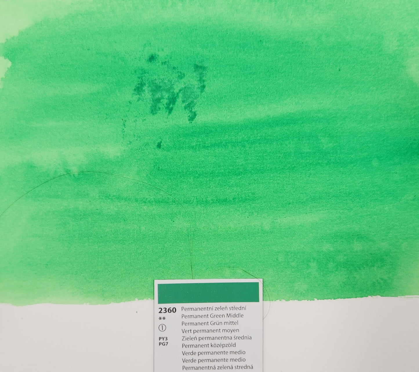 2360 Permanent Green Middle - Permanenttivihreä