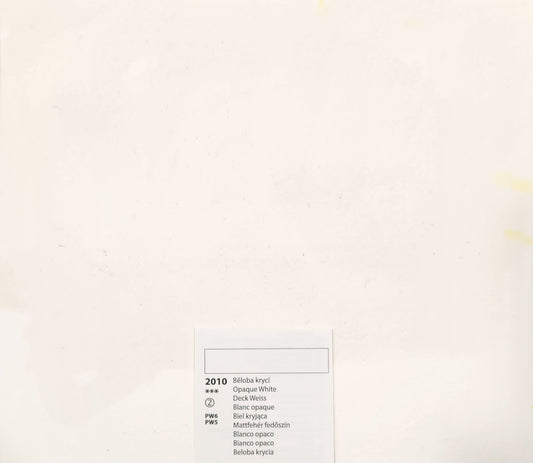 2010 Opaque White - Peittovalkoinen