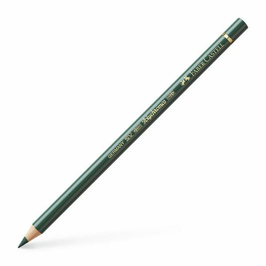 Polychromos 165 Juniper Green -värikynä