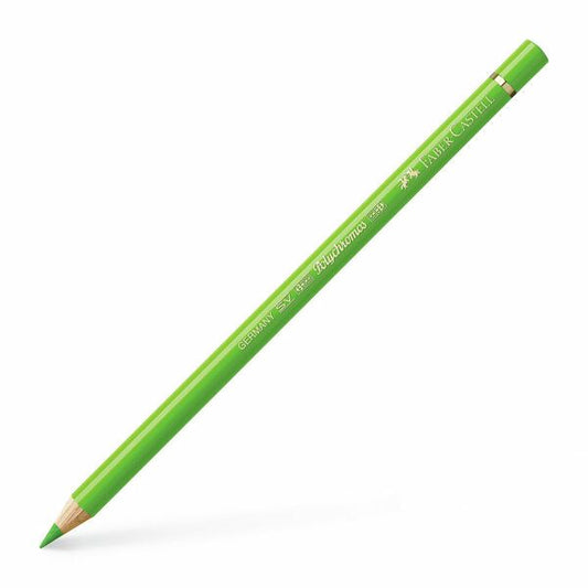 Polychromos 166 Grass Green -värikynä
